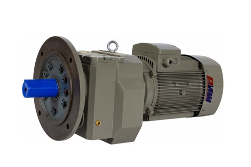 Gear Box 2 HP 100 RPM Flange